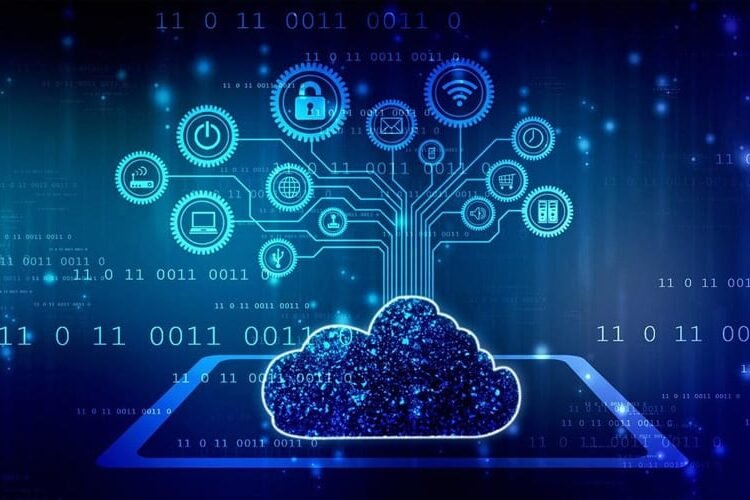 software development company in india